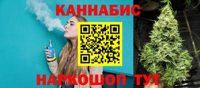 spice Моздок