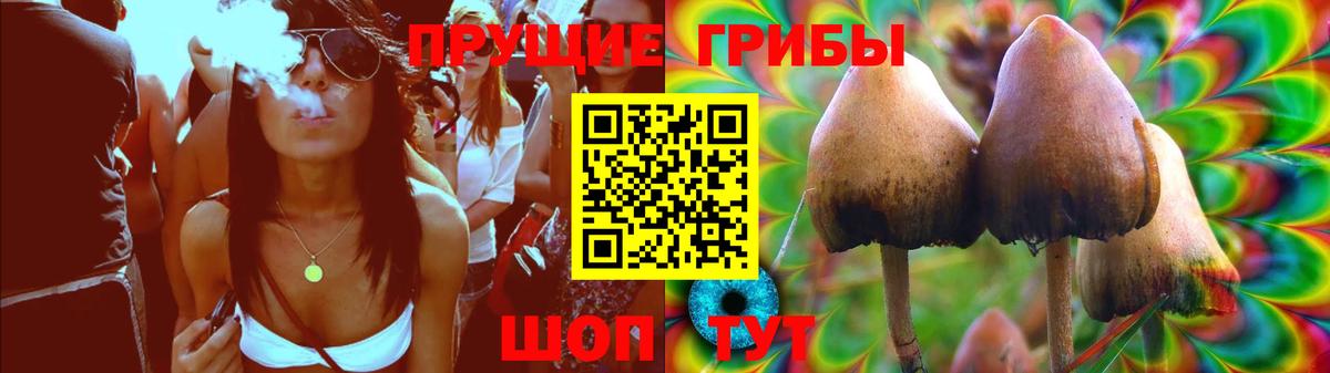 Великие Луки  Псилоцибиновые грибы Cubensis  Вход с VPN 