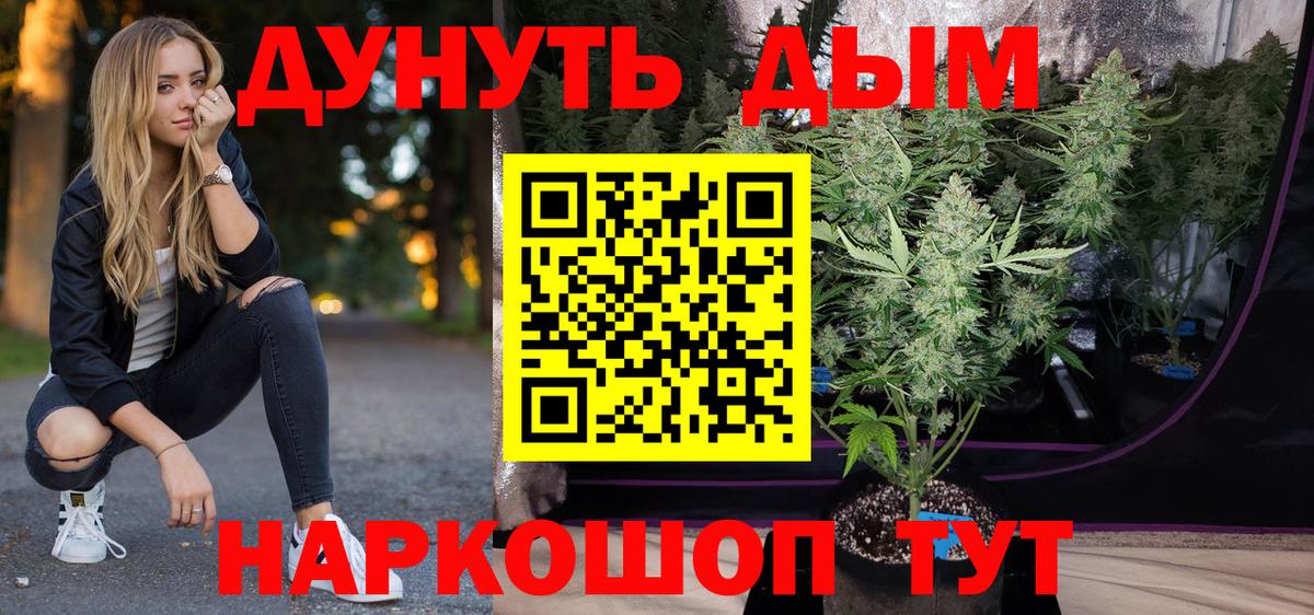 Конопля план  Канабис AK-47  Великие Луки  Вход с VPN  Марихуана планчик  Канабис сатива 